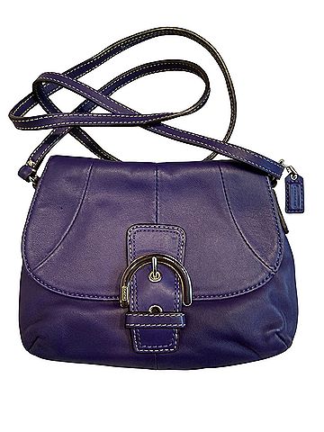 Coach Leather Crossbody Bag (view 1)
