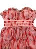 Hutch 100% Polyester Print Pink Cocktail Dress Size 6 - photo 8