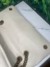 Kurt Geiger 100% Leather White Leather Shoulder Bag One size - photo 10