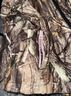 Realtree 100% Polyester Camo Multi Color Jacket Size XL - photo 6