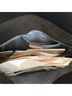 Clare V. 100% Suede Black Shoulder Bag One size - photo 14