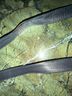 Paloma Picasso Black Shoulder Bag One size - photo 6