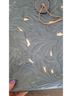 Patricia Nash Blue Tote One size - photo 15