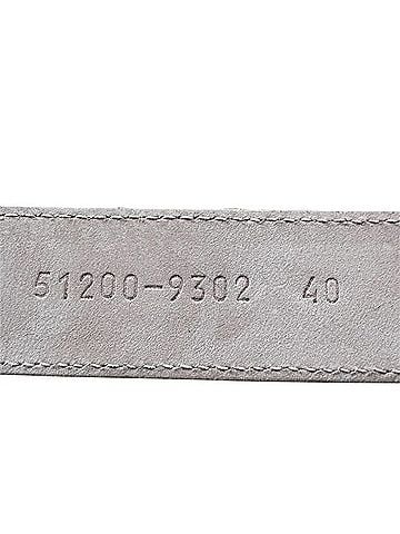 Escada Belt (view 2)