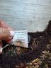 Peruvian Connection Tan Green Brown Pullover Sweater Size M - photo 3