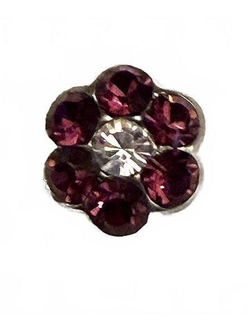 Mariana Women's Studs Earrings in Purple/ Clear (view 1)