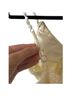 Palmacea Ivory One Piece Swimsuit Size XS - photo 4