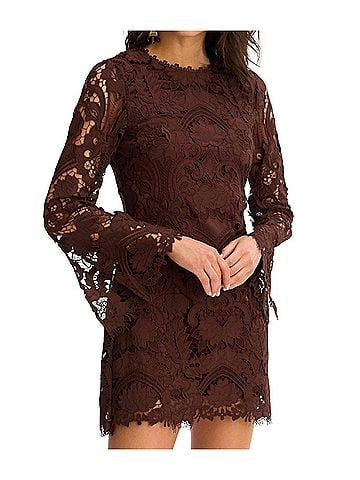 Allison Daisey Dress in Chocolate Brown (view 2)