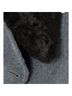 Proenza Schouler Coat Size L - photo 5