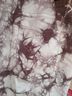Carve Designs Brown Ivory Shorts Size 10 - photo 3