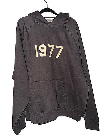 Essentials Pullover Hoodie (view 2)