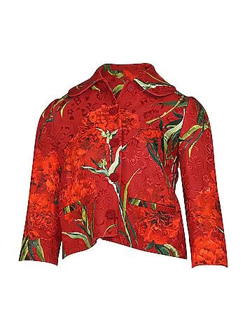 Dolce & Gabbana Dolce & Gabbana Floral Metallic Brocade Jacket in Red Cotton (view 1)