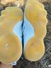 Nike White Black Yellow Sneakers Size 12 - photo 6