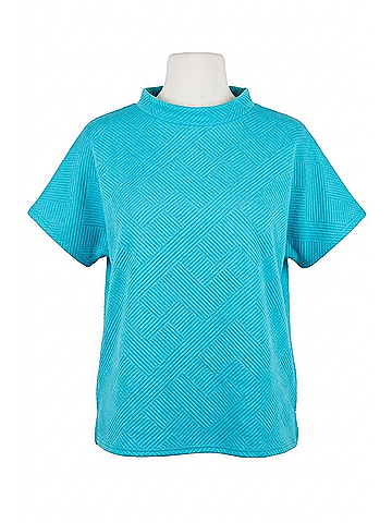 See and Be Seen Courtney Short Sleeve Top in Blue (view 1)