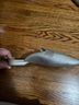 Cole Haan Multi Color Mule/Clog Size 11 - photo 5