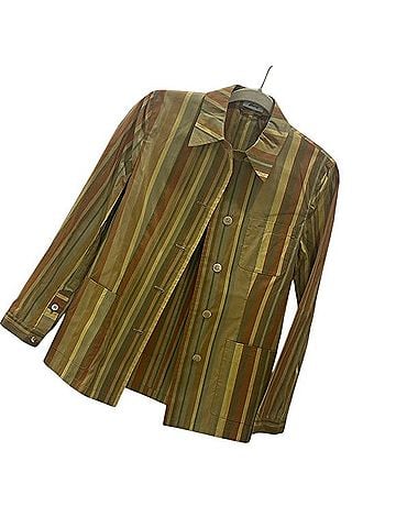 Brioni Silk Stripe Lightweight Summerweight Warm Tonal Jacket Silk Blazer (view 1)
