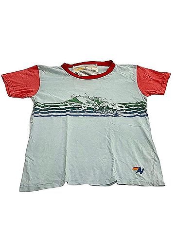 Aviator Nation Vintage - Extremely Rare Color Block T-Shirt (view 1)