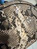 Zara Snake Print Multi Color Shoulder Bag One size - photo 5