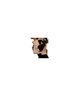 Nasty Gal Inc. Animal Print Black White Jacket Size 6 - photo 2