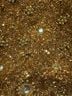 Valerie Stevens Gold Clutch One size - photo 5
