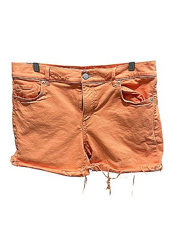 Ann Taylor LOFT The roll short Shorts (view 1)