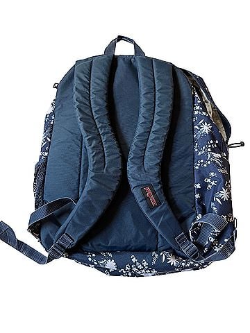 Jansport Big Campus: JS0A47K8 Backpack (view 2)