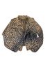 Bebe Leopard Print Black Gray Jacket Size M - photo 2