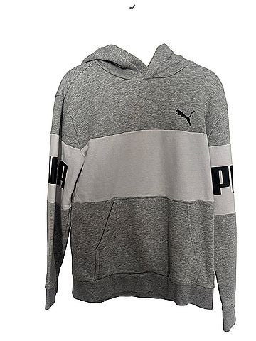 Puma Pullover Hoodie (view 1)