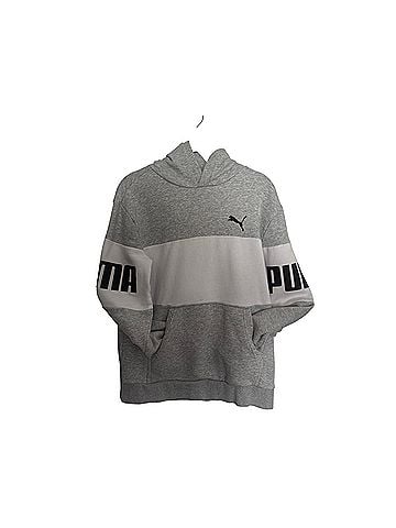 Puma Pullover Hoodie (view 2)