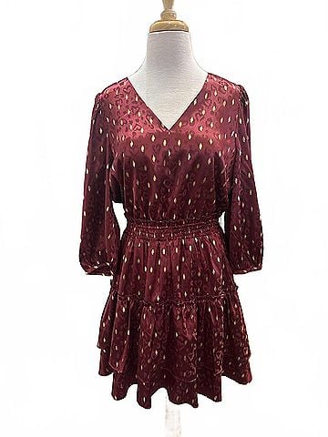 Joy Joy Puff Sleeves V-Neck Print Dress in Wine (view 1)