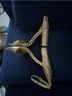 Sam Edelman Snake Print Tan Gold Sandals Size 10 - photo 10