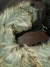 Madeline Girl Black Brown Ankle Boots Size 7 - photo 5