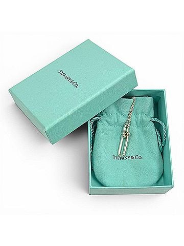 Tiffany & Co. TIFFANY&Co. Tiffany HardWear AG925 Link Necklace, purchased August 2020. Approx. 46cm total length. 8.5g. Women's necklace. Comes with box and dust bag. (view 2)