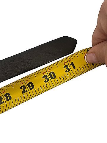 Coach Belt (view 2)