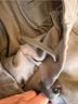 Everlane Gray Sweatpants Size S - photo 5