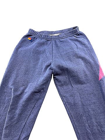 Aviator Nation Sweatpants (view 1)