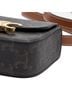 Céline Brown Triomphe Camera Bag Mini One size - photo 7