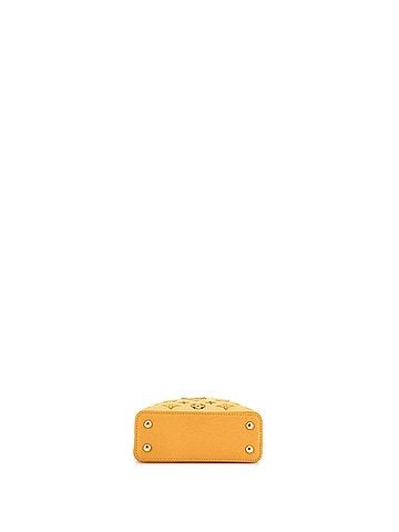 Louis Vuitton Capucines Bag Monogram Cutout Broderie Leather Mini (view 2)