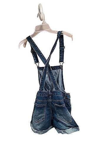 Wallflower Overall Shorts (view 2)