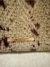 Brahmin Snake Print Brown Tan Multi Color Satchel One size - photo 4