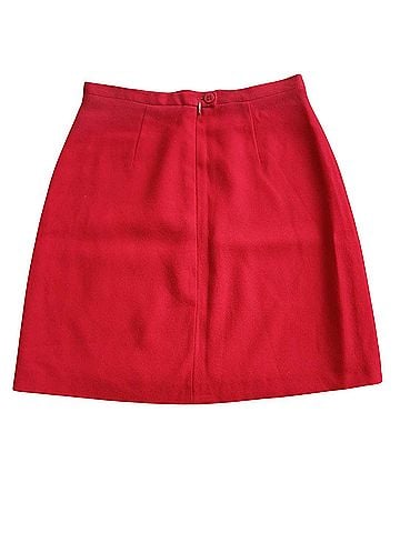 Aritzia Casual Skirt (view 2)