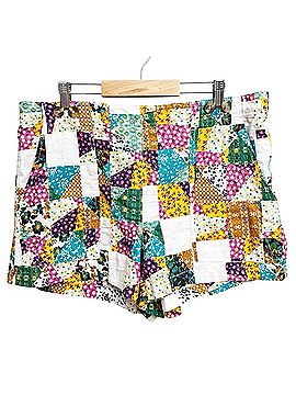 Pilcro Shorts (view 1)