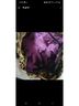 New Directions Animal Print Multi Color Shoulder Bag One size - photo 4