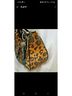 New Directions Animal Print Multi Color Shoulder Bag One size - photo 3