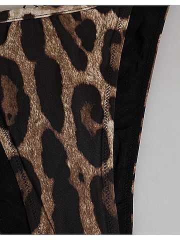 Dolce & Gabbana Basic Brown Leopard Triangle Tanga Panty Women's Underwear (view 2)