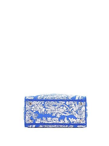 Christian Dior Toile de Jouy Lady D-Lite Bag Embroidered Canvas (view 2)