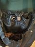 B Makowsky 100% Leather Black Leather Hobo One size - photo 8