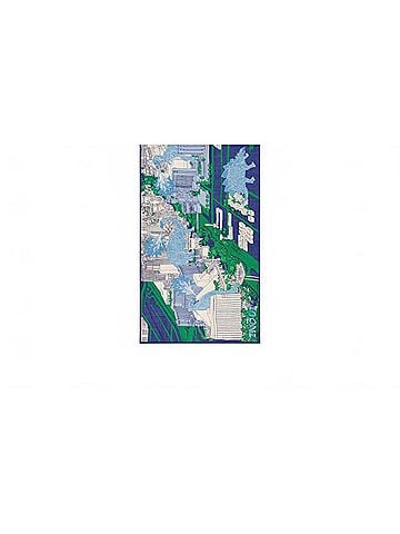 Inoui Editions Women's Vegas 80 Scarf in Blue & Green (view 1)