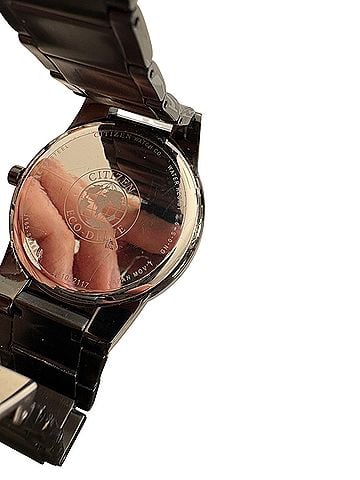Citizen Watch (view 2)
