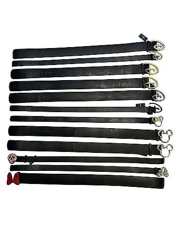 BUCKLE-DOWN SKATEGOODS Disney x Buckle-Down Faux Vegan Leather Belt Bundle Belt (view 2)